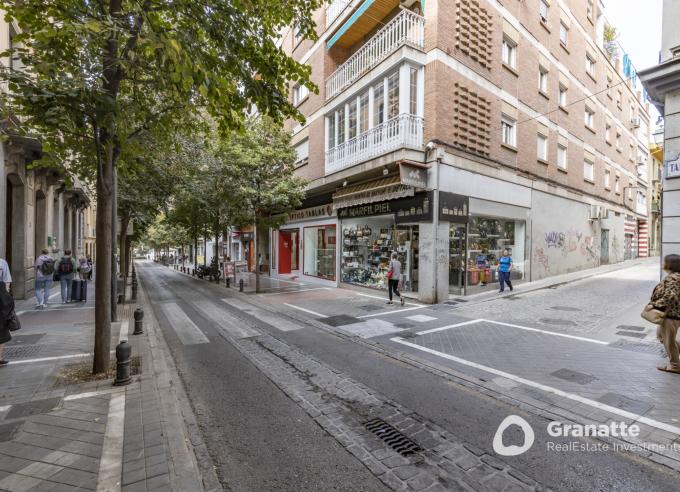Coqueto piso en centro de Granada